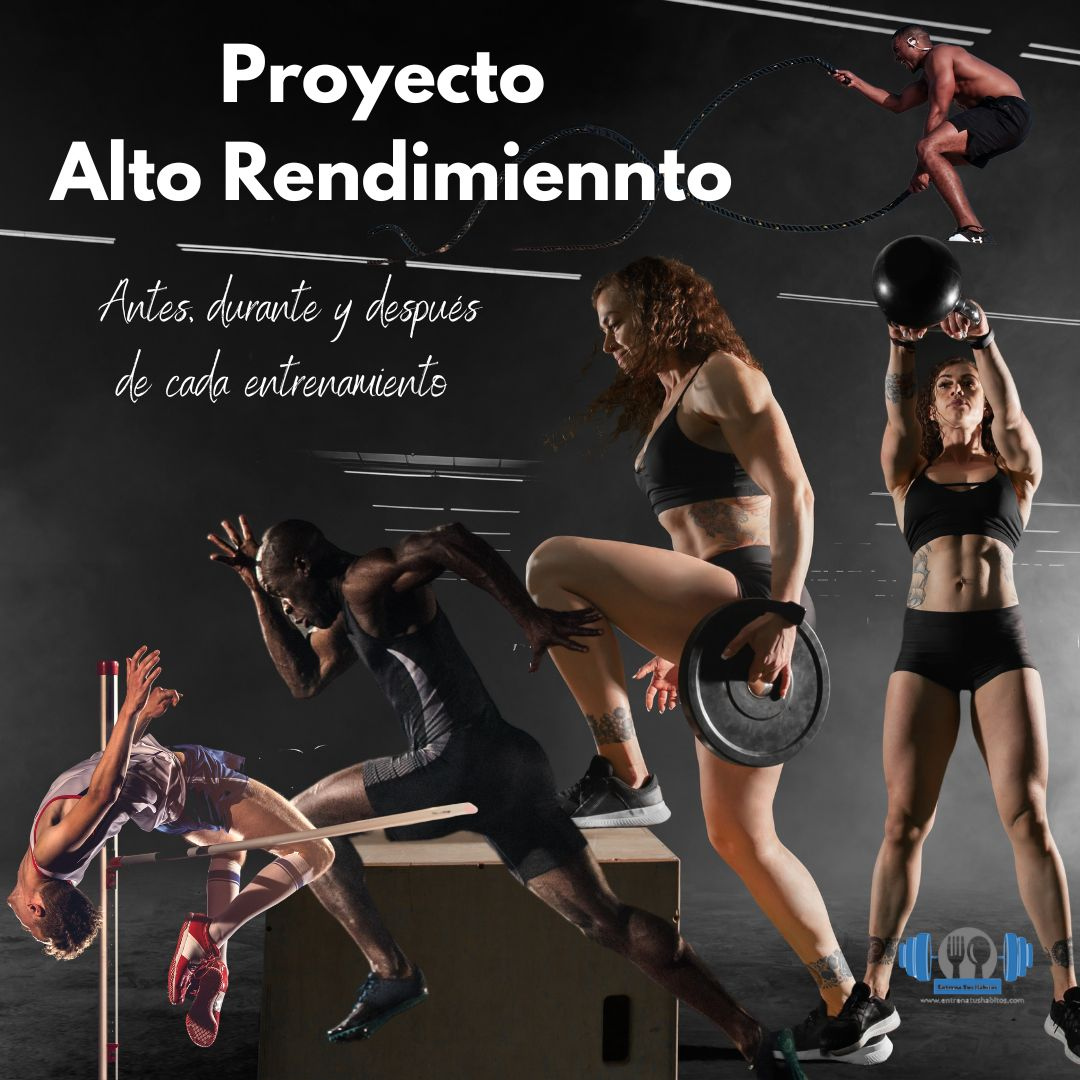 proyecto alto rendimiento proyecto alto rendimiento